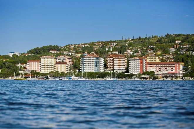 Slika članka