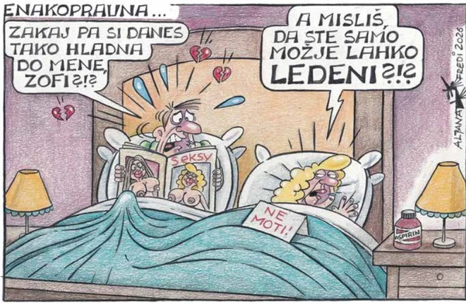 Slika članka