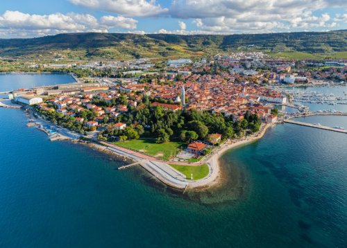 Slika članka