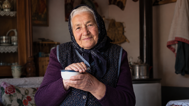 Slika članka