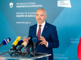Slika članka