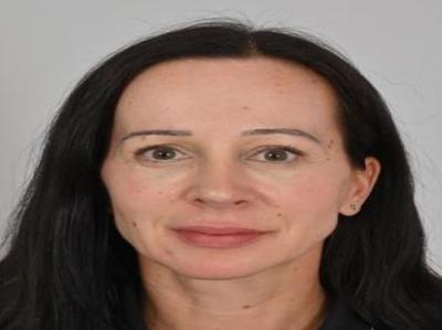 Slika članka
