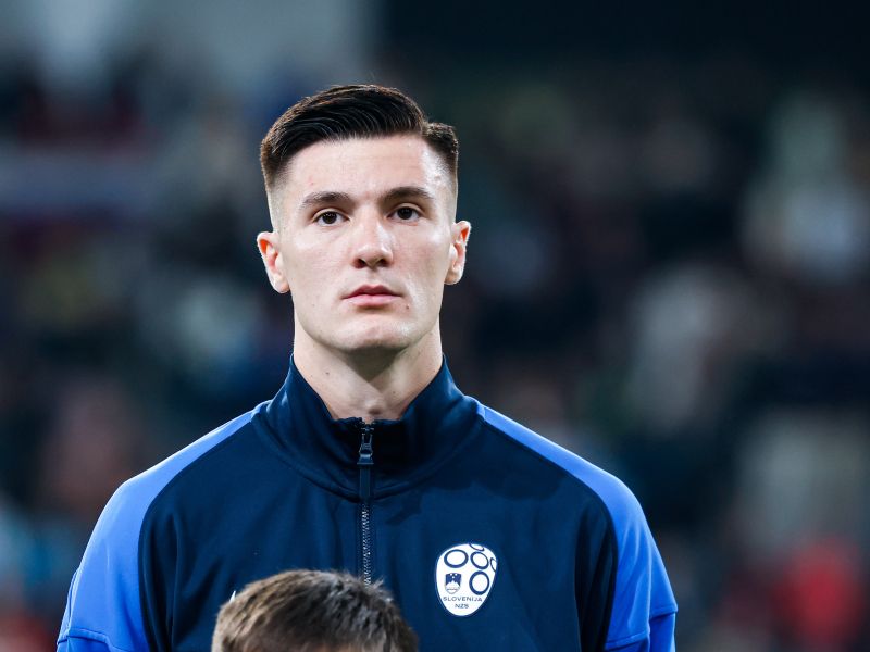 Slika članka