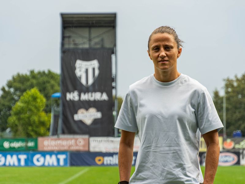 Slika članka
