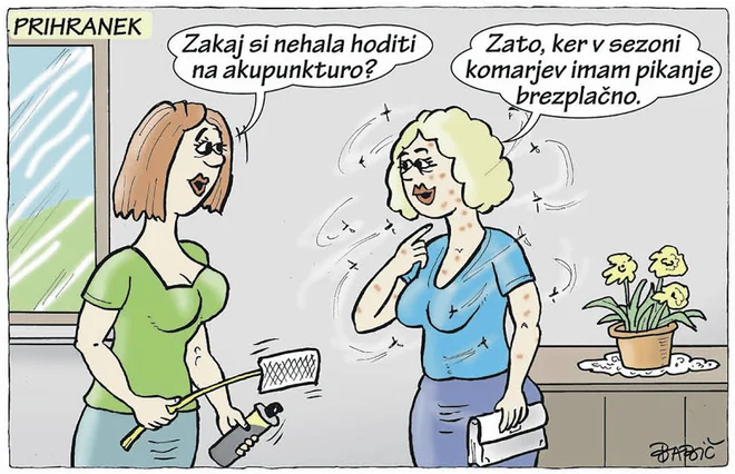 Slika članka