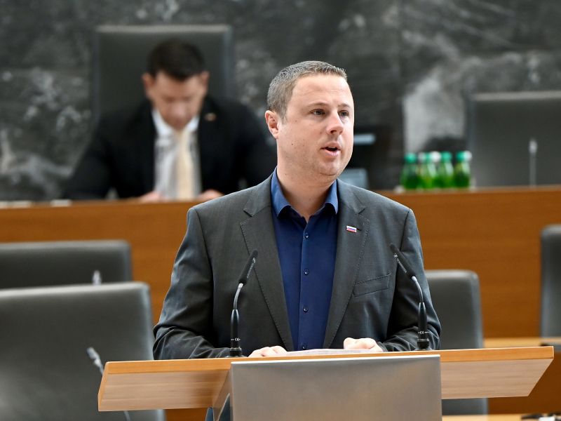 Slika članka
