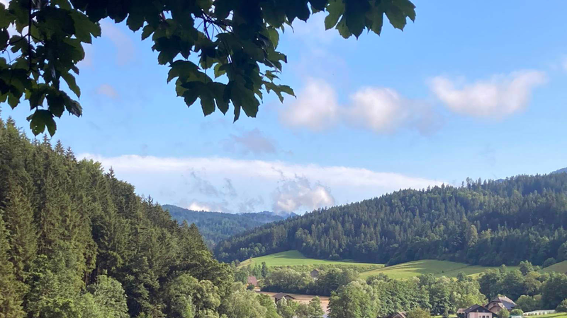 Slika članka