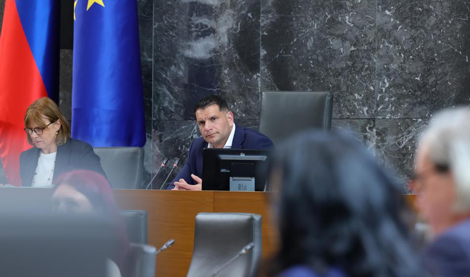 Slika članka