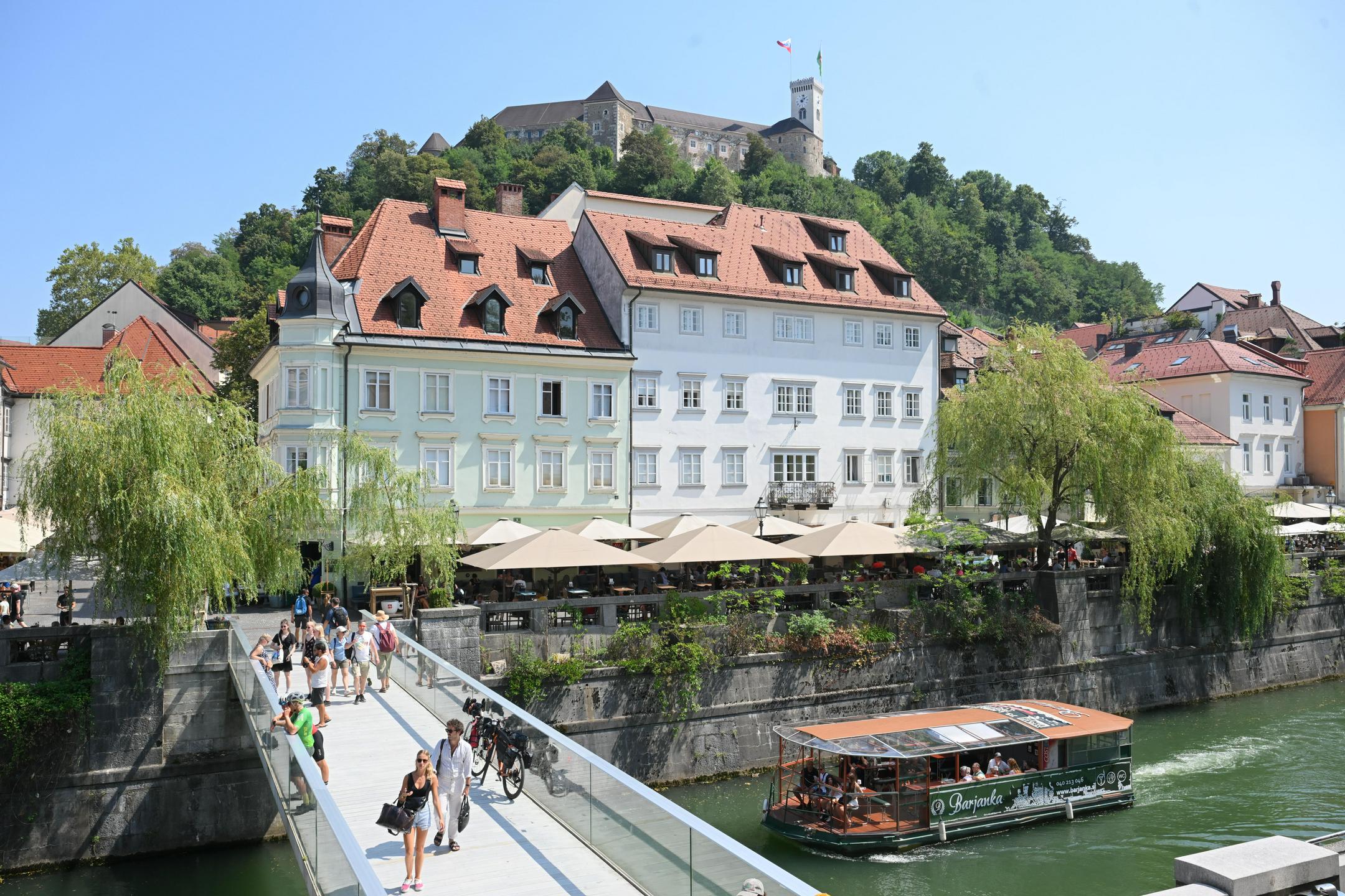 Slika članka