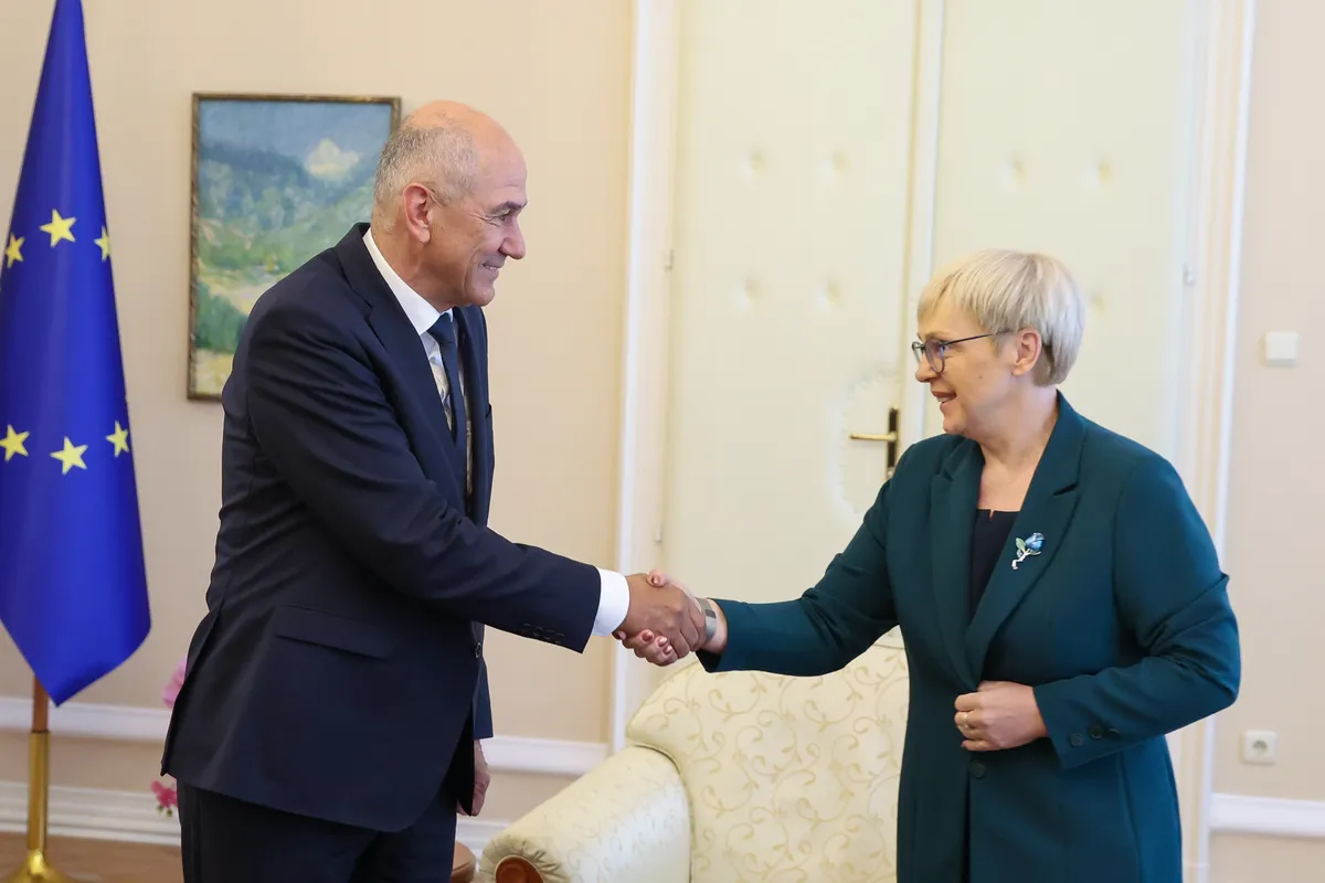 Slika članka