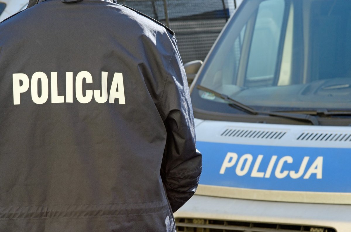 Slika članka