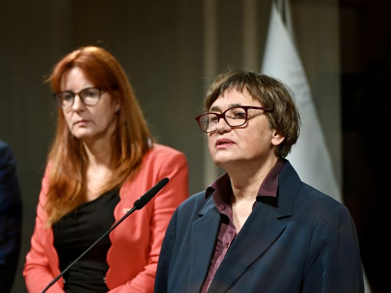 Slika članka