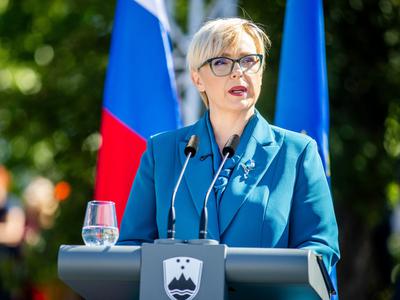 Slika članka