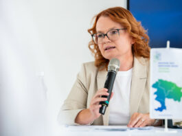Slika članka