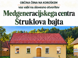 Slika članka