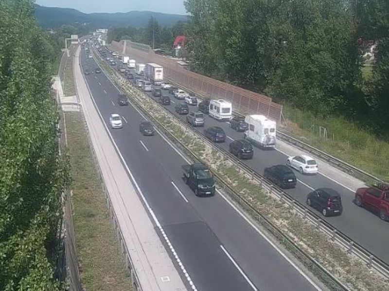 Slika članka