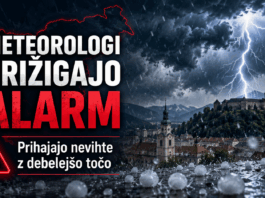 Slika članka