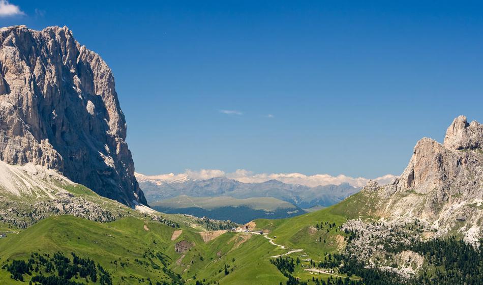 Slika članka