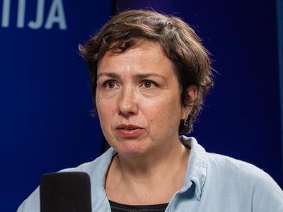 Slika članka