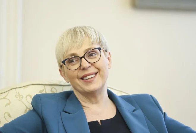 Slika članka