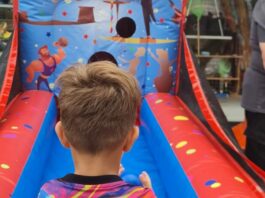 Slika članka