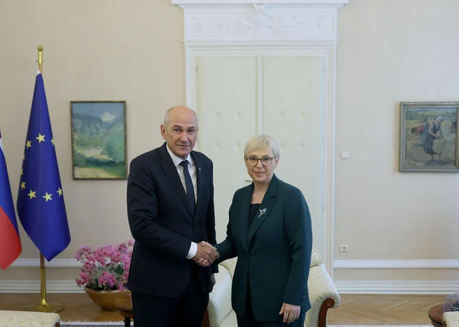 Slika članka