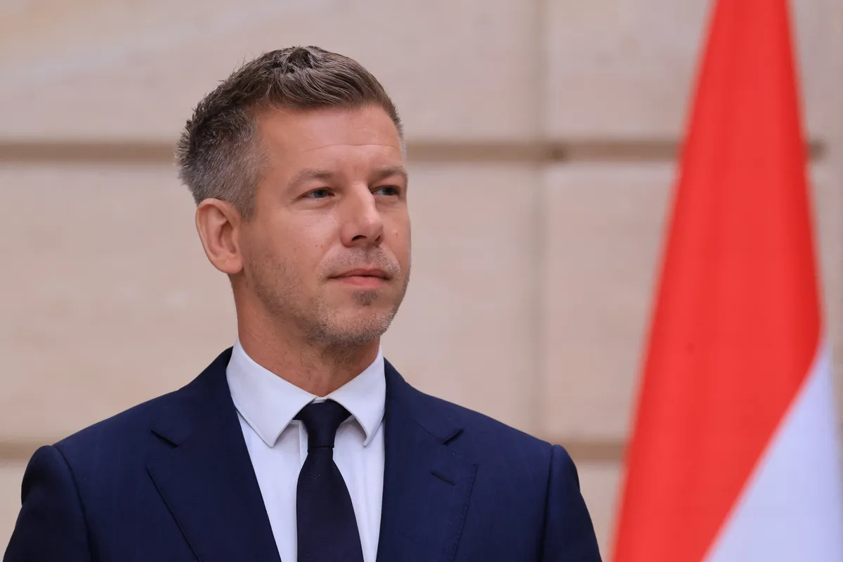 Slika članka
