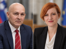 Slika članka