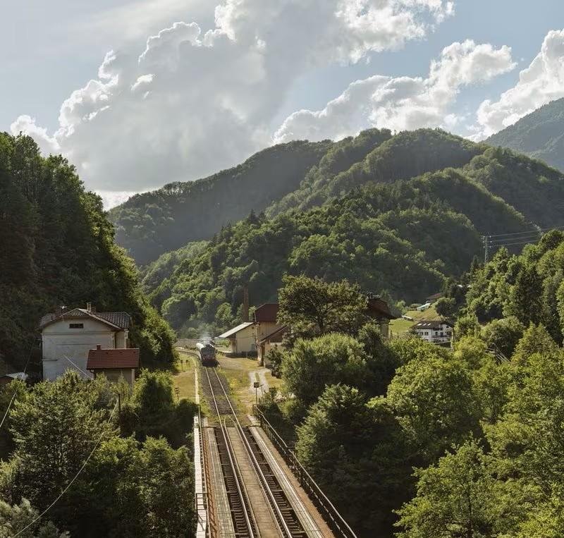 Slika članka
