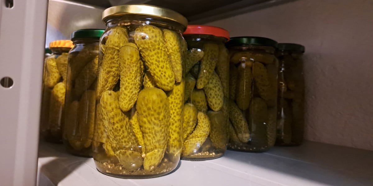 Slika članka