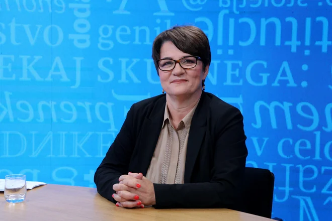Slika članka