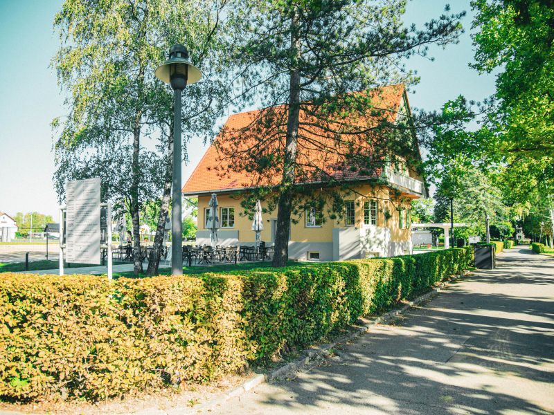 Slika članka