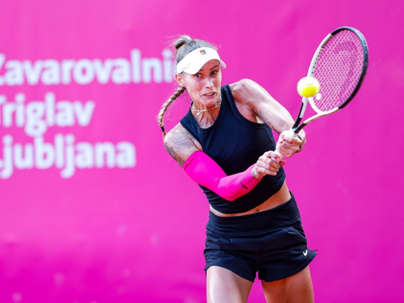 Slika članka