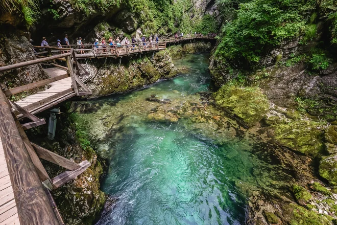 Slika članka