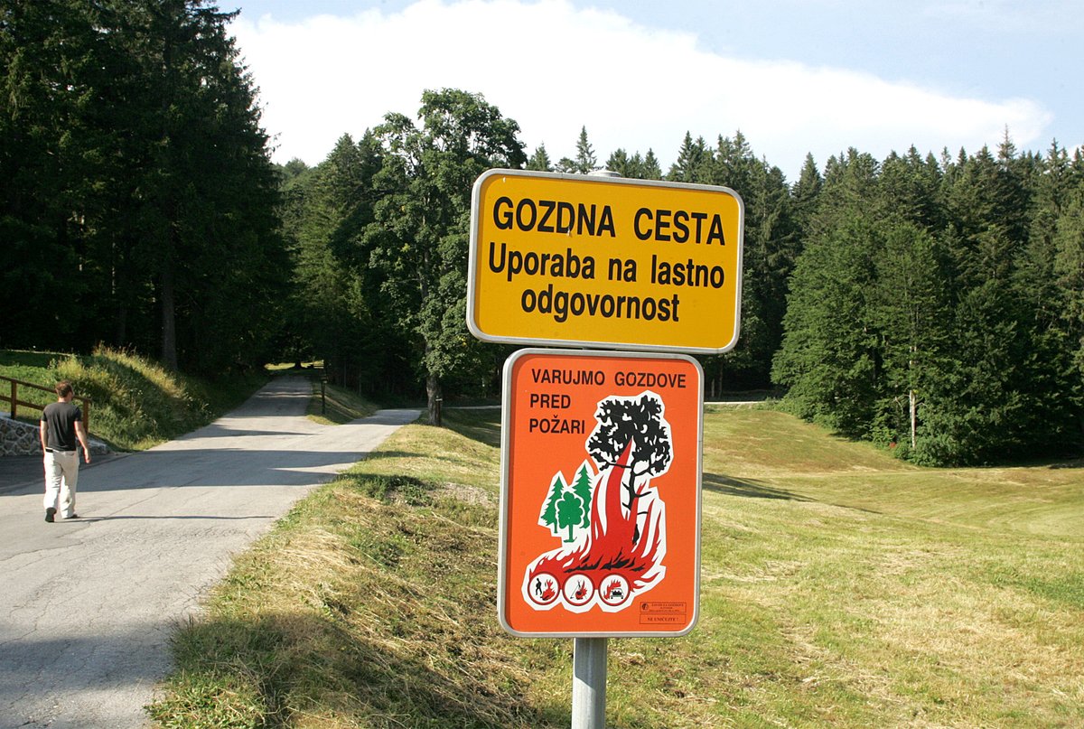 Slika članka