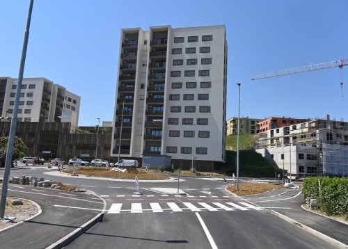Slika članka