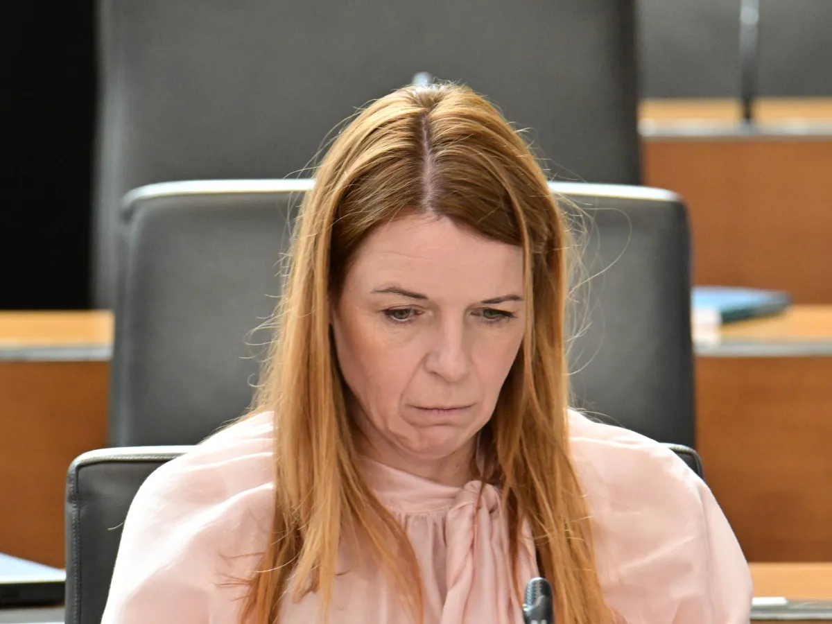 Slika članka