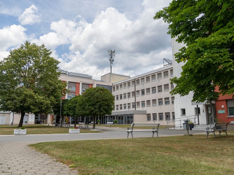 Slika članka
