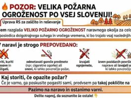 Slika članka