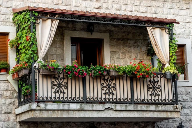 Slika članka