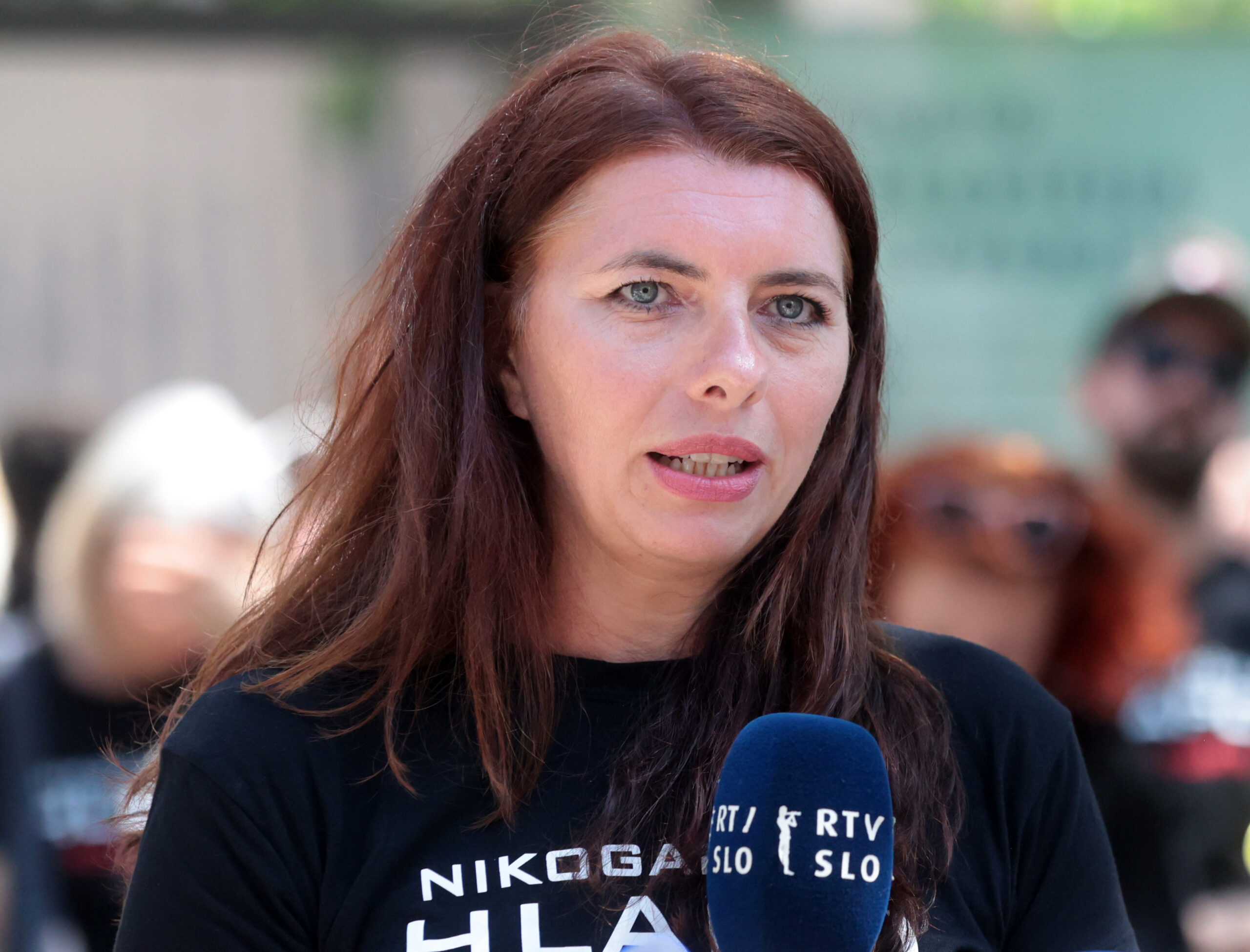 Slika članka