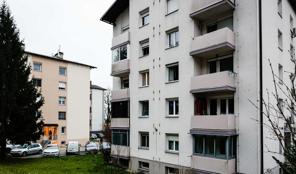 Slika članka