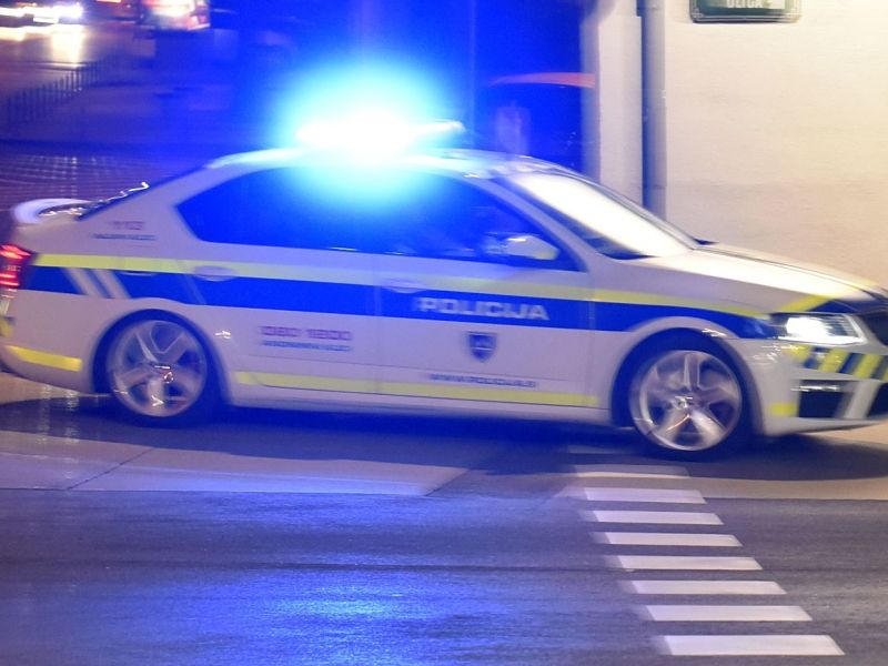 Slika članka