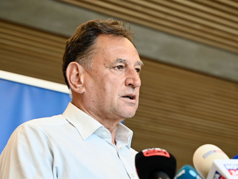 Slika članka