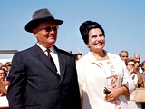 Slika članka