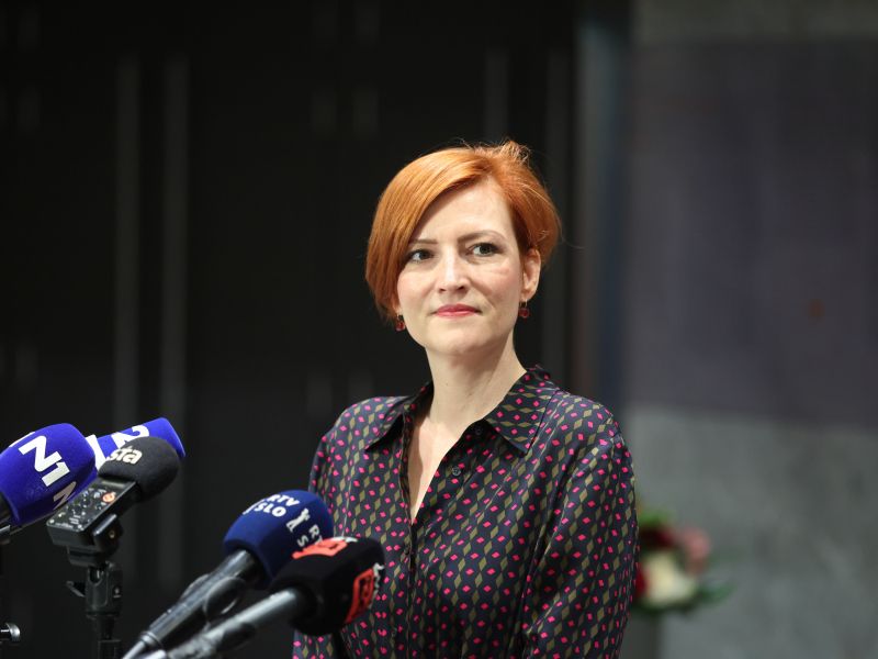 Slika članka