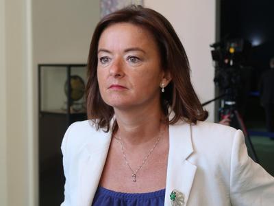 Slika članka