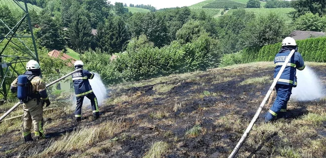 Slika članka