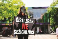 Slika članka