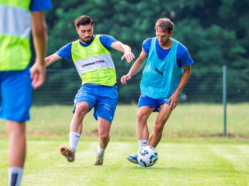 Slika članka